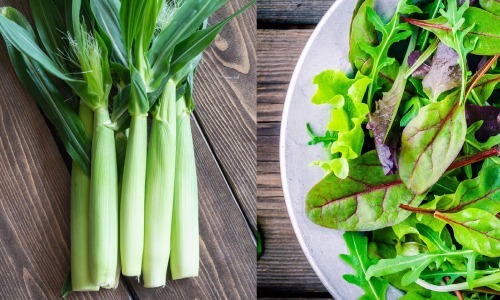 ベビーリーフ,ベビーコーン