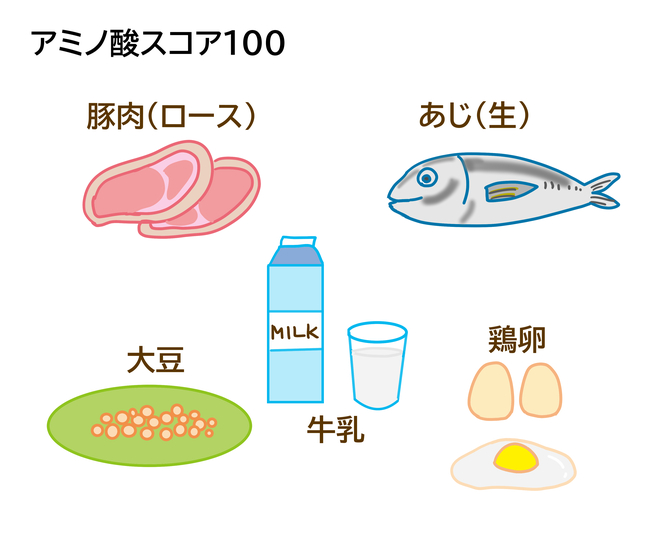 アミノ酸スコア100