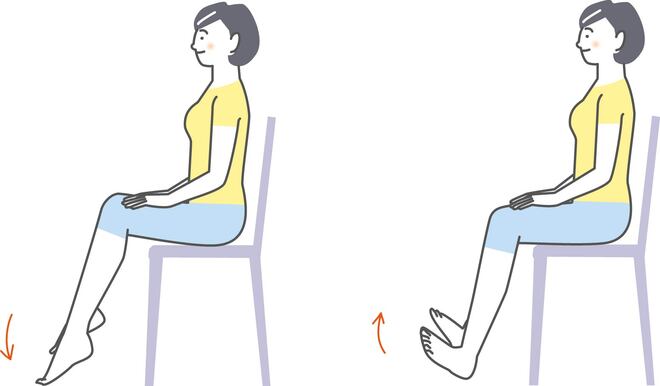 ゴースト血管（３）かかとの上げ下げ