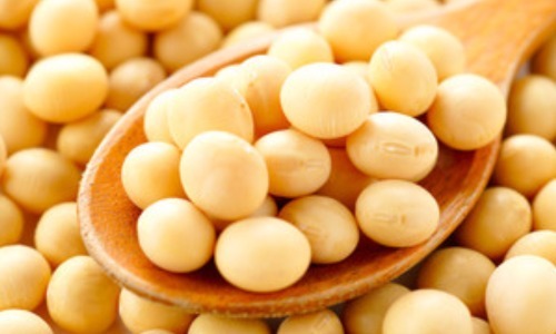 食物繊維が豊富な大豆