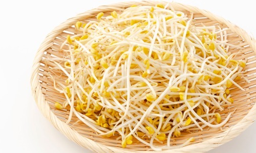 大豆モヤシ