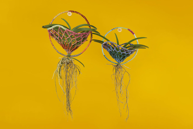 Living Knitted Sculpture