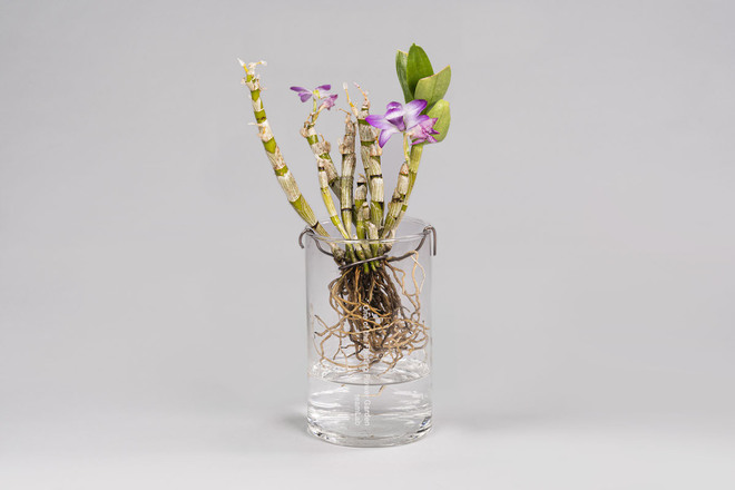 One of the Floating Flower Garden