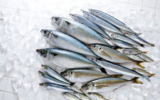 DHA・EPAが含まれる青魚