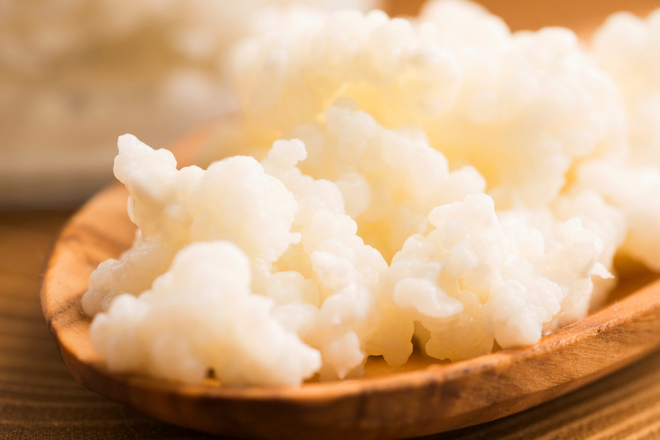 天然の消化酵素ケフィア