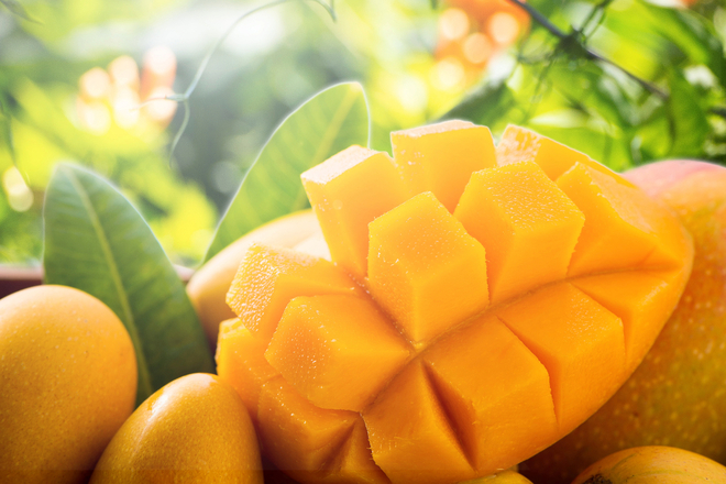 天然の消化酵素マンゴー