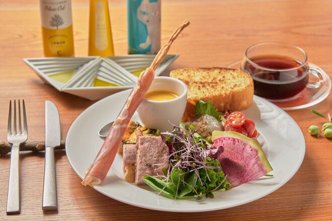 オリーブ収穫祭