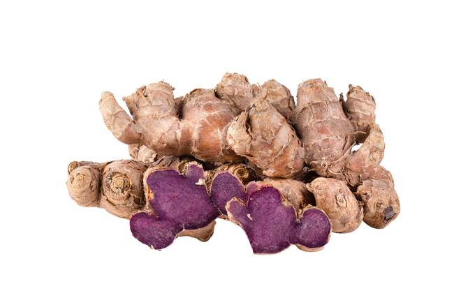 ブラックジンジャー