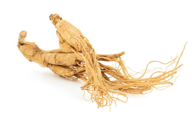 ハーブピーリング：オタネニンジン根エキス