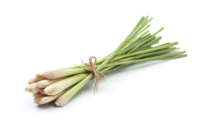 ハーブピーリング：レモングラス