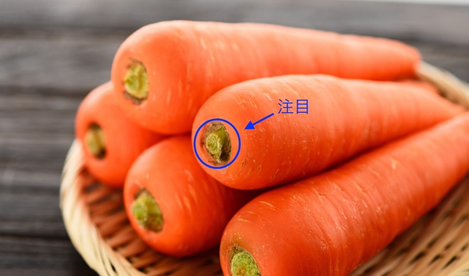 茎の根元（葉の付け根）の芯