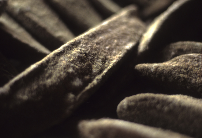 カツオの一番カビ