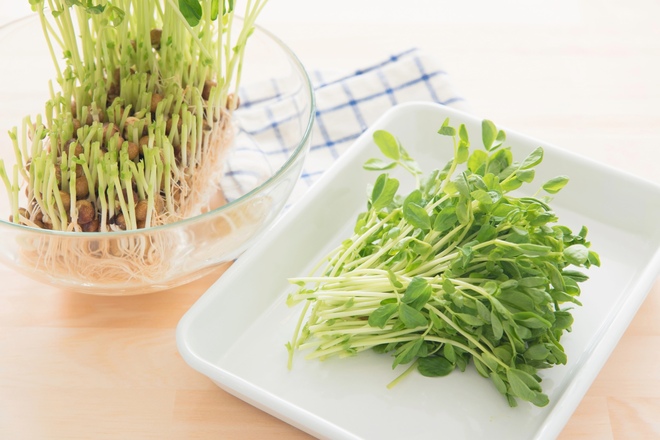 リボベジ野菜豆苗