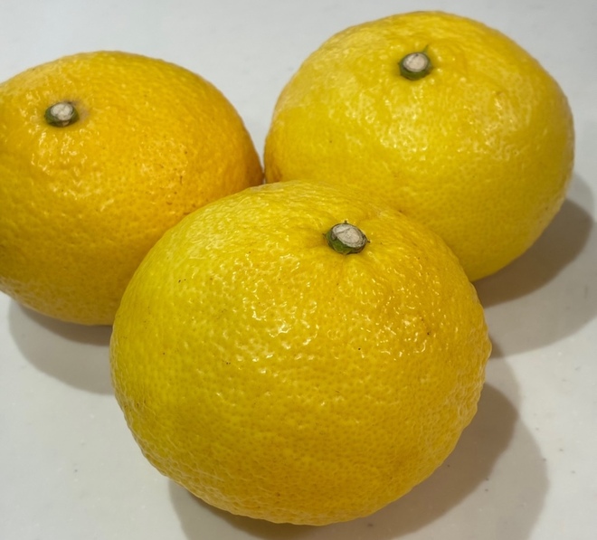 スイートレモンの外観