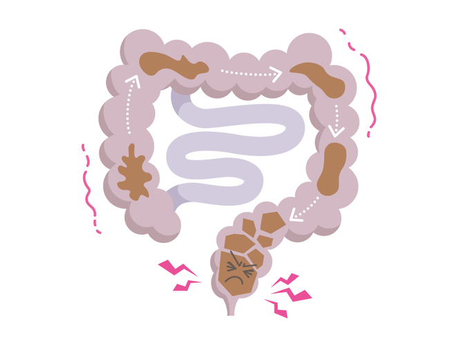 腸のぜん動運動