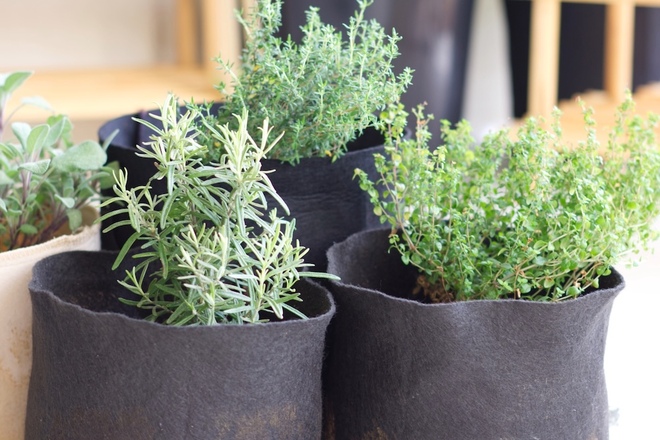 ファブリックポット