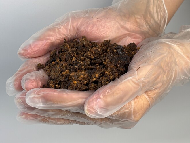 原料となるオリーブポマス