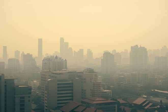 PM2.5や排気ガス