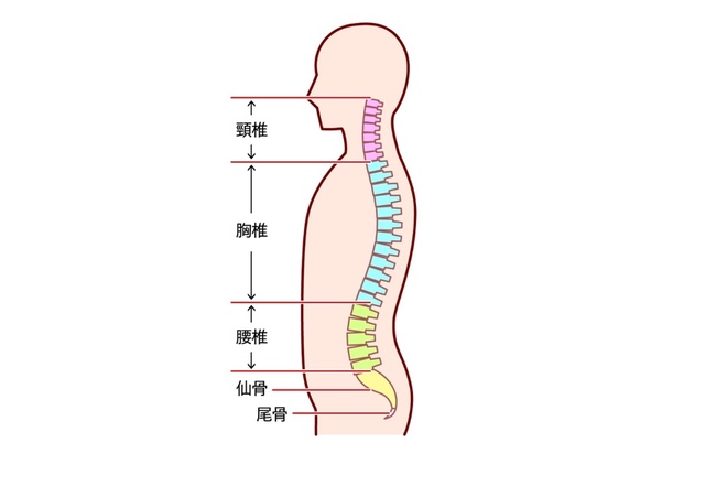 ストレートネック