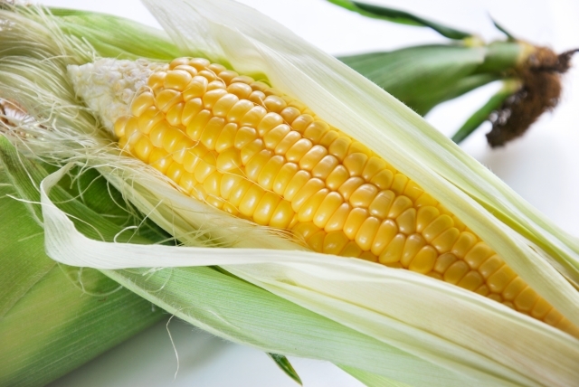 とうもろこし