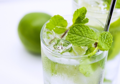 モヒートは太りにくい？！モヒートの深い歴史と基本知識