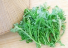 春菊の美容効果とは？！どんな食べ方がおすすめ？