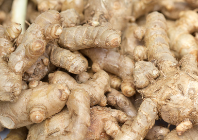 マンゴージンジャー