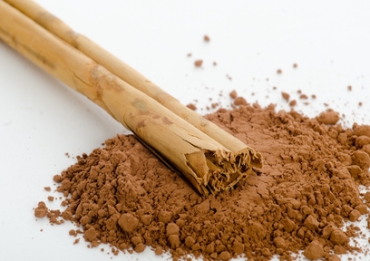 桂皮（ケイヒ）