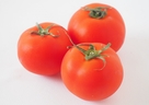 トマト