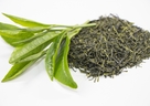 緑茶