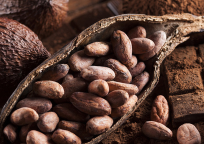 シングルビーンズ？Bean to Barって何？カカオチョコレートの選び方