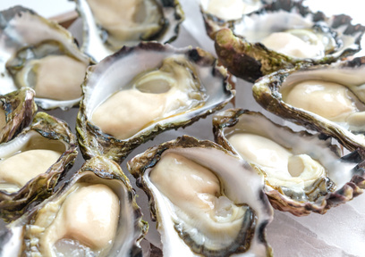 牡蠣のエキスを残らず食べ尽くせ！完全栄養食と言われる牡蠣の魅力