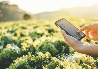 アグリテックの力で農業を活性化！日本での事例を紹介