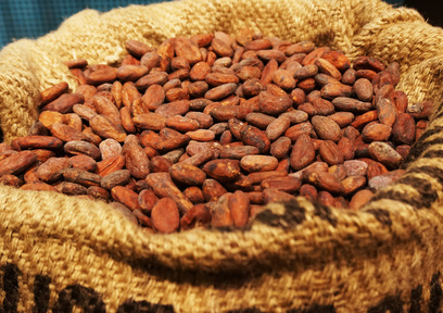 フェアトレード・チョコレートを選ぶ時に知っておきたいこと