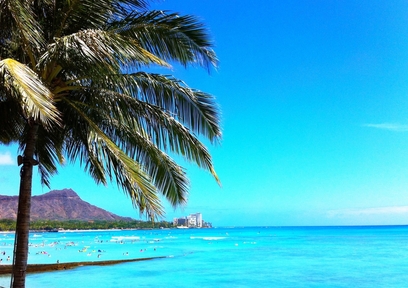 ハワイの万能調味料「フリフリソース」でハワイの名物フリフリチキンを自宅でも楽しもう!