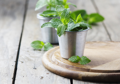 夏におすすめのミントレシピ!チョコミントアイスとタブレサラダ