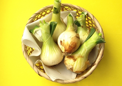 美容効果やデトックス効果の高い春野菜