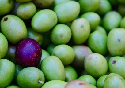 オリーブの美容効果