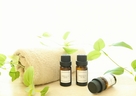 スキンケアにオイルはいい？美容オイルの効果や種類を紹介