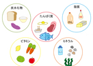 たんぱく質をしっかり摂ろう！アミノ酸、ペプチド、コラーゲン…etc