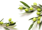 肌トラブルを未然に防ぐオリーブ葉のちから