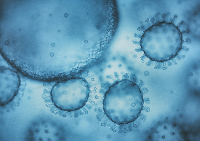 冬はノロウイルスにご注意を!