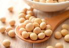 大豆