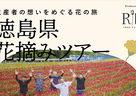 ロスフラワー🄬の現状と解消に向けた取り組み～徳島県那賀町×RIN