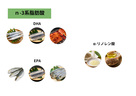 トクホや機能性表示食品で人気のDHA・EPAってどんな成分？