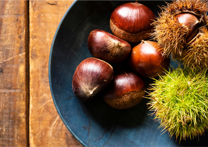 四季を感じる食生活！秋から初冬の果実を使った料理