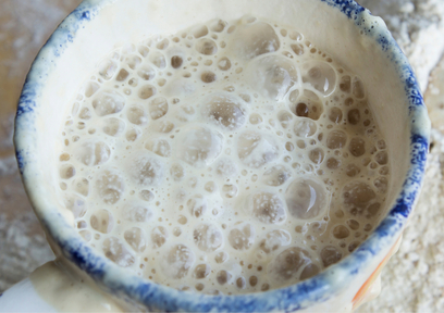 発酵食品って何?アンチエイジング力の高い発酵食品