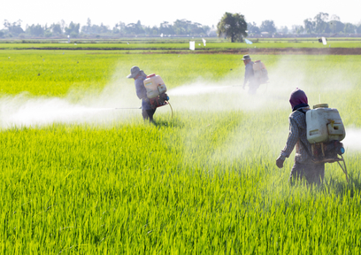 農薬は本当に危険？食べ物の安全性について