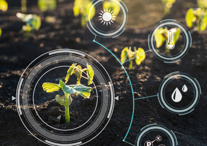 デジタル技術が切り拓く新時代の農業!スマート農業で広がる就農のチャンス