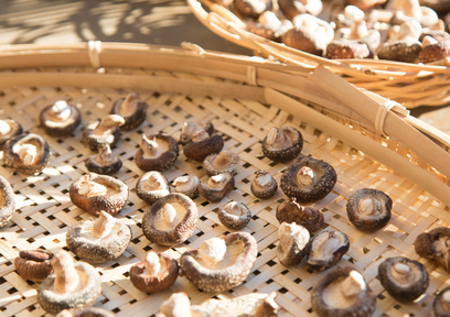 管理栄養士が教える！節約しても栄養価は落とさない食事のコツ